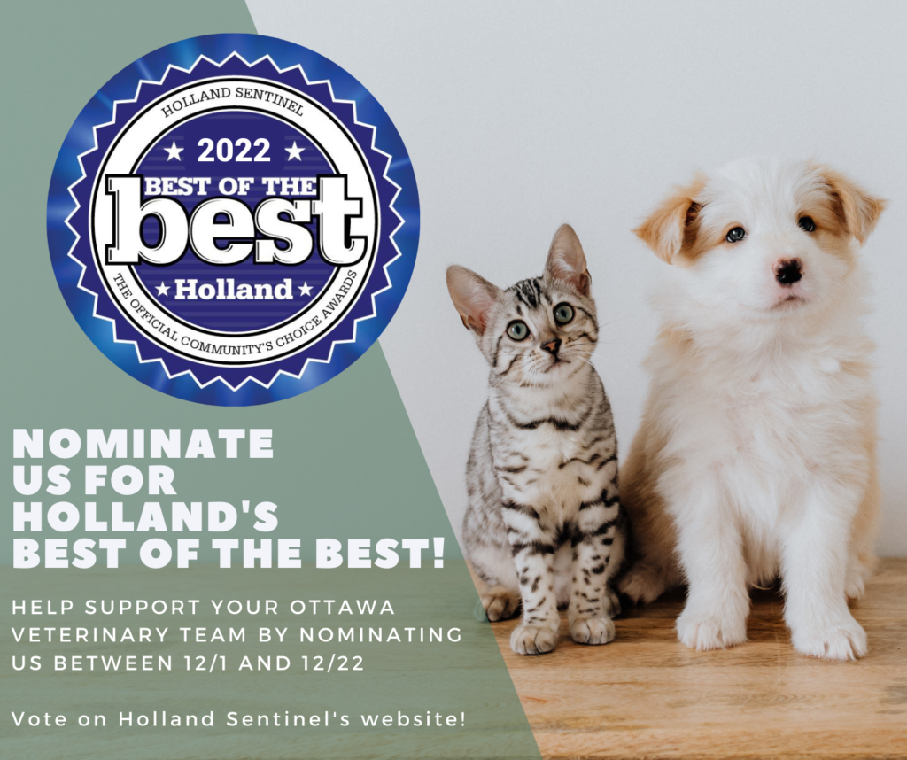 Best Veterinary Clinic 2022 Award