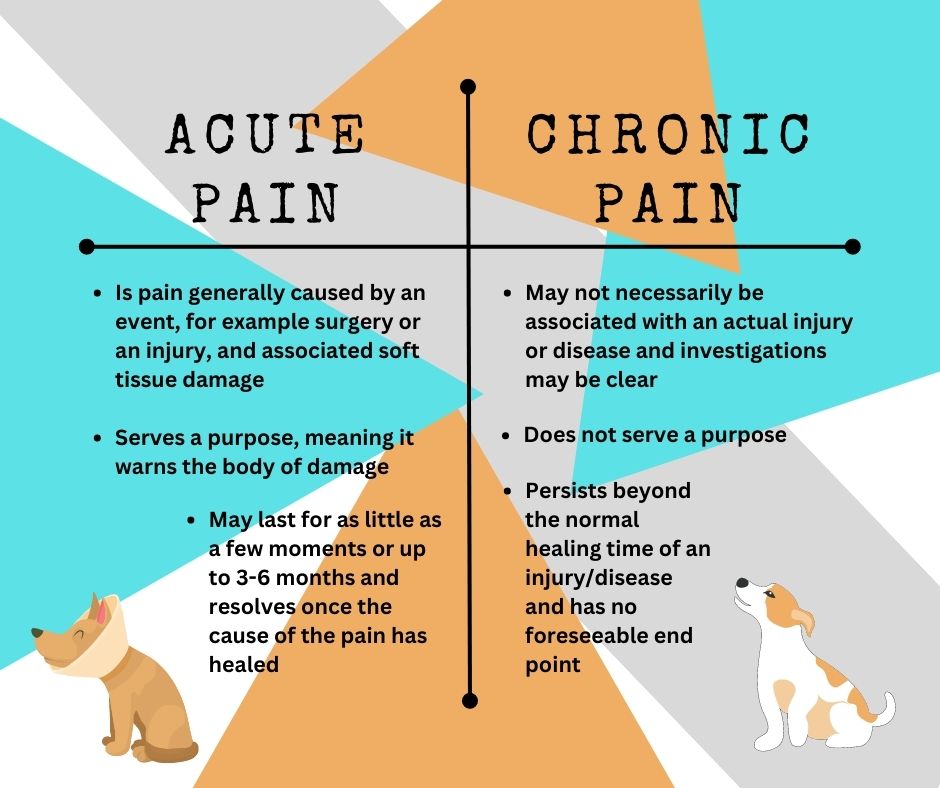 acute vs chronic pain diagram