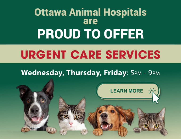 Holland, MI Veterinary Clinic Ottawa Animal Hospital East